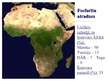 Презентация 'Āfrikas dabas resursi', 10.