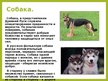 Презентация 'Животные в крестьянском хозяйстве, символика образов, обряды', 7.