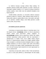 Дипломная 'A/s "Cido" darbības analīze, perspektīvas, tendences un dinamika', 46.