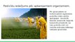 Презентация 'Vides piesārņojums ar pesticīdiem', 4.