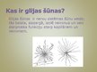 Презентация 'Jaunākie atklājumi glijas šūnas izpētē', 2.