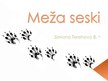 Презентация 'Meža seski', 1.