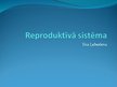 Презентация 'Reproduktīvā sistēma', 1.
