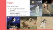 Презентация 'Japāņu mitoloģiskās būtnes', 13.