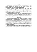 Конспект 'Bruņneši', 5.