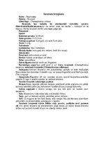 Конспект 'Bruņneši', 8.