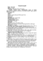 Конспект 'Bruņneši', 10.