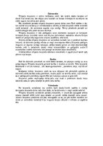 Конспект 'Bruņneši', 11.