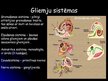 Презентация 'Gliemji', 8.
