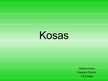 Презентация 'Kosas', 1.