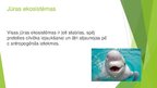 Презентация 'Ūdens ekosistēmu daudzveidība', 8.