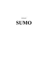 Конспект 'Sumo', 1.