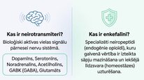 Презентация 'Enkefalīni', 2.