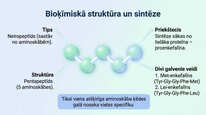 Презентация 'Enkefalīni', 4.