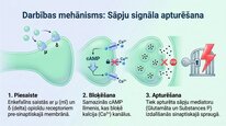 Презентация 'Enkefalīni', 5.
