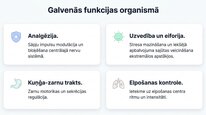 Презентация 'Enkefalīni', 6.