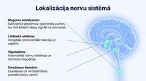 Презентация 'Enkefalīni', 7.