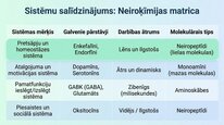 Презентация 'Enkefalīni', 12.