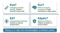Презентация 'Enkefalīni', 13.