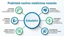 Презентация 'Enkefalīni', 23.