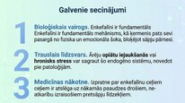 Презентация 'Enkefalīni', 25.