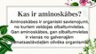Презентация 'Aminoskābes un olbaltumvielas', 2.