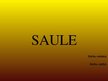 Презентация 'Saule', 1.