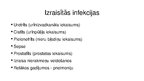Презентация 'Proteus mirablis baktērija', 5.