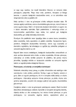 Эссе 'Mūsdienu klimata un vides problēmas: izaicinājumi un risinājumi', 2.