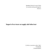 Реферат 'Impact of Eco-taxes on Supply Side Behavior', 1.