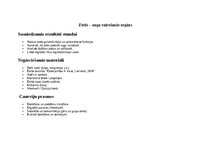 Образец документа 'Stundas plāns: Zieds – auga vairošanās organs 4.klase 9 G', 1.