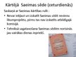Презентация 'Saeima', 3.