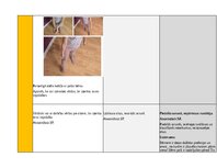 Конспект 'Portfolio - ideju mape ar SR 3. vecuma posmam', 9.