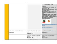 Конспект 'Portfolio - ideju mape ar SR 3. vecuma posmam', 19.