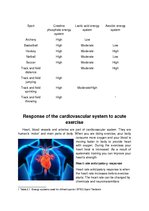Презентация 'Response of the Energy Systems, Musculoskeletal System, Cardiovascular System an', 8.