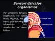 Презентация 'Sensori', 4.