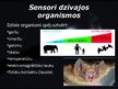 Презентация 'Sensori', 5.