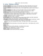Образец документа 'Meteņu svētku scenārijs', 10.