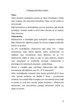 Реферат 'Cūkgaļa', 5.