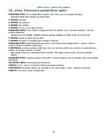 Образец документа 'Lieldienu svētku scenārijs', 19.