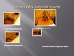 Презентация 'Leonardo da Vinči gleznojumi un izgudrojumi', 9.