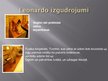 Презентация 'Leonardo da Vinči gleznojumi un izgudrojumi', 13.