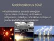 Презентация 'Kodolreaktori un to darbība', 4.