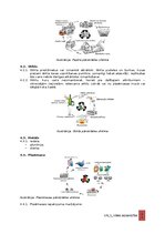 Образец документа 'Vides aizsardzības instrukcija', 11.