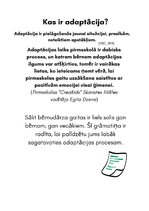 Конспект 'Metodiskais materiāls vecākiem - par bērna adaptācijas procesu pirmsskolas izglī', 2.