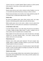 Конспект 'Mūzika', 8.