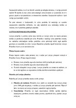Конспект 'Konstitucionālo tiesību, administratīvo tiesību un administratīva procesa tiesīb', 13.