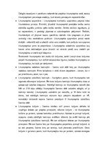 Конспект 'Konstitucionālo tiesību, administratīvo tiesību un administratīva procesa tiesīb', 25.