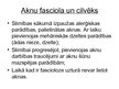 Презентация 'Aknu fasciolas', 6.