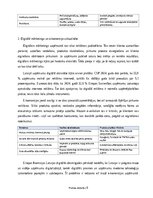 Отчёт по практике 'Digitālā mārketinga un e-komercijas procesu analīze uzņēmumā', 6.